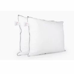 BEDSUPPLY VerkäufeBEDSUPPLY Verkäufe 42 Kissen Cinderella Classic 2.0 (2-Stück)