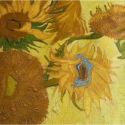 Bettwäsche Beddinghouse X Van Gogh Tournesol Yellow Baumwolle -BEDSUPPLY VerkäufeBEDSUPPLY Verkäufe 3 188814 40 1
