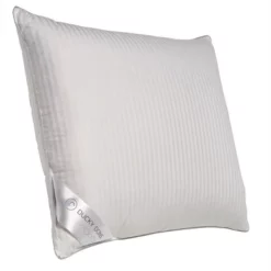 Kopfkissen Ducky Dons 60% Entendaunen